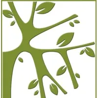 The Banyan Studio.