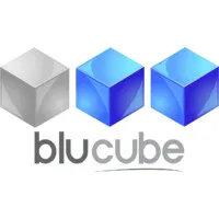 bluCube International