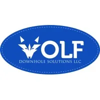 Wolf Downhole Solutions, LLC