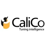 Calico Infosystems Pvt Ltd