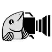 Professional Video
