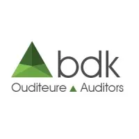 bdk Auditors