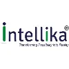 Intellika Hitech Systems Private Limited Intellika Hitech Systems Private Limited