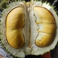 Durian Ind. Limited.