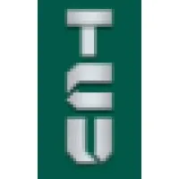 TCU Consulting Services -- Program Managers