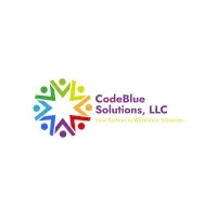 CodeBlue Solutions, LLC codebluesolutions.com