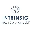 IntrinsigTech Solutions LLP IntrinsigTech Solutions LLP