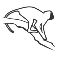 Vervet Monkey Foundation