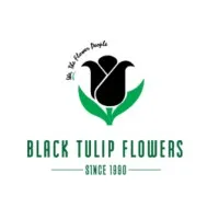 Black Tulip Infotech Private Limited