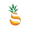 Pineapple Socials Pineapple Socials