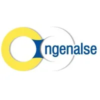 Ingenalse S.A