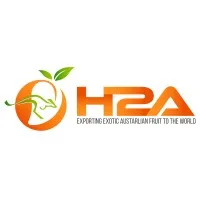 H2A Trading International Pty Ltd