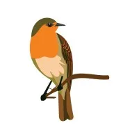 All Around Child Center for Exploration and Development