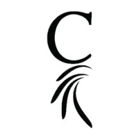 Chief Financial Credit Union