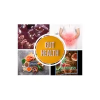 Gut Health