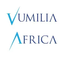 Vumilia Africa Group