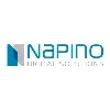 Napino Digital Solutions (Electronics Design & Manufacturing) Napino Digital Solutions (Electronics Design & Manufacturing)