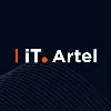 iT.Artel iT.Artel