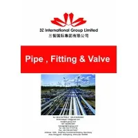 3z international limited