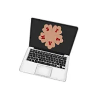 STEAM BLOOM STEAM BLOOM