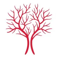 TENSIVE SRL TENSIVE SRL