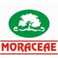 Moraceae Pharmaceuticals Pvt Ltd Moraceae Pharmaceuticals Pvt Ltd