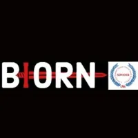 Biorn Group
