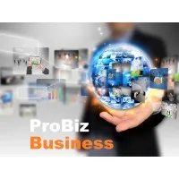 ProBiz Business 