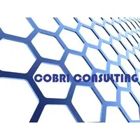 Cobri Consulting & Flowpath Advisory Solutions Cobri Consulting & Flowpath Advisory Solutions