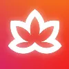 Meditative Mind