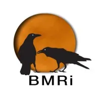 BMRiLLC