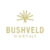 Bushveld Minerals Bushveld Minerals