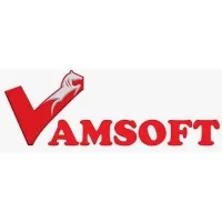 Vamsoft Technology