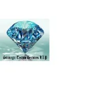 Strategic Techno Services LLP