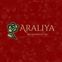 Araliya Red