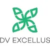 DV Excellus Pvt. Ltd. DV Excellus Pvt. Ltd.