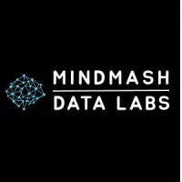 MINDMASH DATA LABS