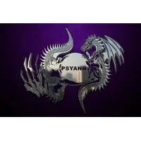 PSYANN graphics and advertisment