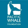 Pacific Whale Foundation Pacific Whale Foundation