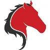 Regiment Securities