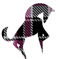 Plaid Pony Productions