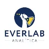 Everlab Analítica Everlab Analítica