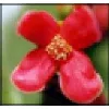 Tours & Travel Network Tours & Travel Network