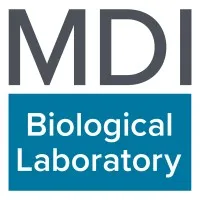 MDI Biological Laboratory