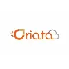 Oriata Techserv Private Limited Oriata Techserv Private Limited