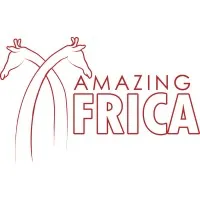Amazing Africa