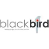 Blackbird Solutions, Inc