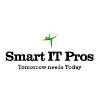 SMART IT PROS INC SMART IT PROS INC