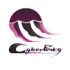 CyberPinky CyberPinky