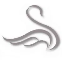 Cygnus Asset Management, LLC.